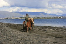 Iceland-Iceland Shorts-Reykjavik's Secret Trails